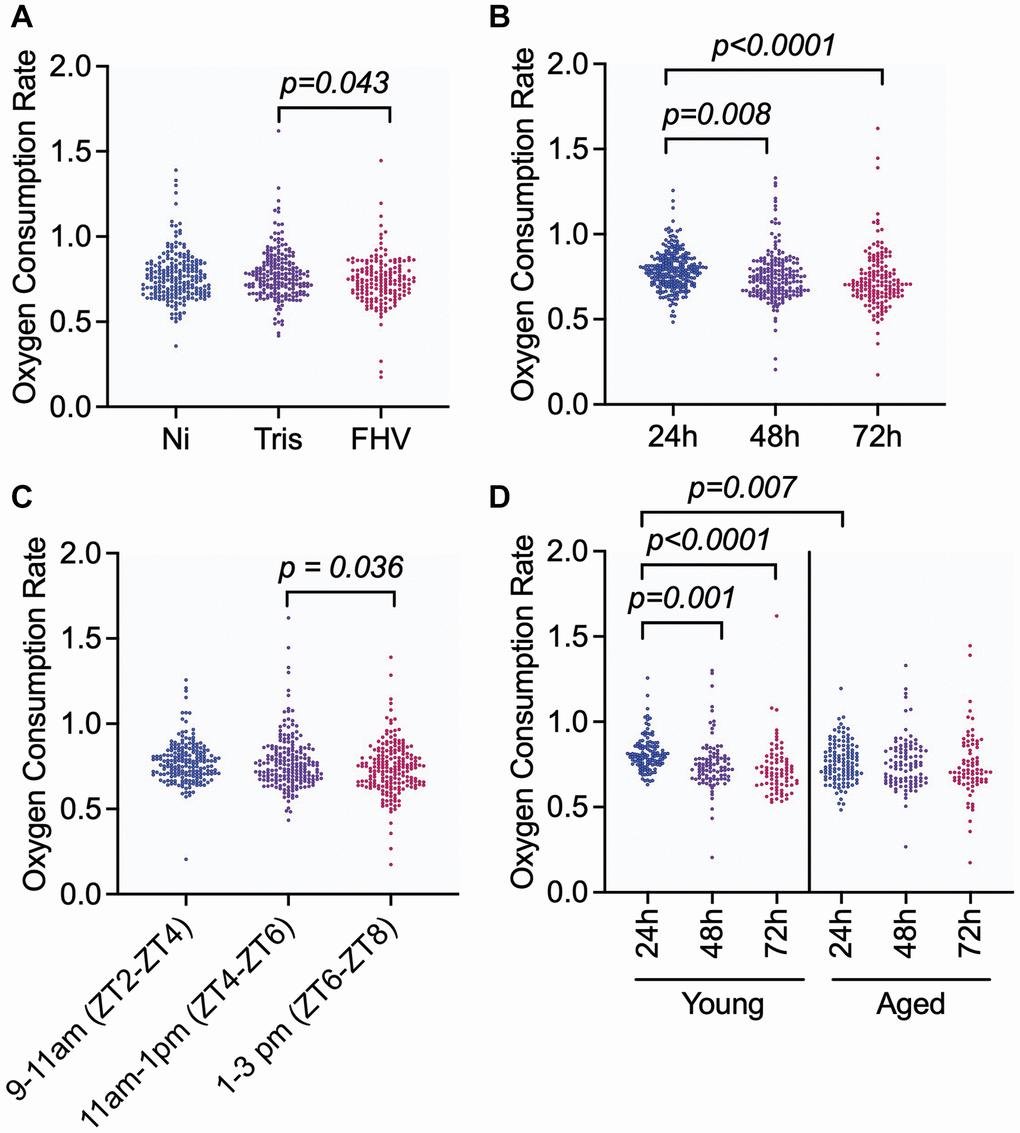 Injection of D. melanogaster males with FHV decreases levels of organismal OCR in both young and aged flies, but OCR is also influenced by the time post-treatment in young flies and the time of the day during which measurements are performed. (A–D) Graphs showing pairwise comparisons of variables with significant main effect on OCR: ‘Treatment’ (A), ‘Time Post-Treatment’ (B), and ‘Zeitgeber Time’ (C) and interaction effect: ‘Age * Time Post-Treatment’ (D). OCR measurement values for individual datapoints are plotted. Significant comparisons were determined by post hoc Tukey-Kramer tests within each panel as described in methods. Each symbol represents an individual OCR measurement on a fly.