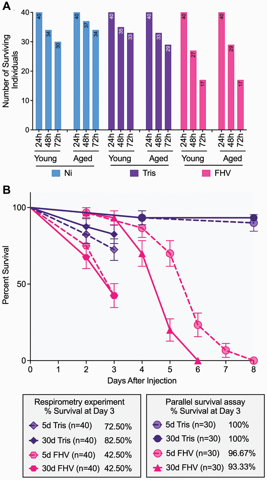 FHV-injected cohorts display higher mortality compared to controls throughout the experiment, and mortality of young and aged cohorts is comparable among treatment groups. (A) Bar graphs showing the distribution of individual survival within each ‘Treatment’ group at 24 h, 48 h and 72 h post-treatment in both young and old flies (n = 40 starting in each age-by-treatment group). (B) Survival curves comparing mortality of Tris- and FHV-injected flies recorded during the respirometry experiment (n = 40 flies per experimental condition) and during an independent survival assay carried in parallel (n = 30 flies per experimental condition). A significant difference between 5- and 30-days-old flies is observed following FHV infection (p p = 0.648) in the parallel survival assay, based on a log-rank test. At 3 days post-treatment, no significant difference is observed between young and aged FHV-infected flies in both the respirometry experiment (p = 0.827) and the parallel survival assay (p = 0.562) based on a log-rank test.