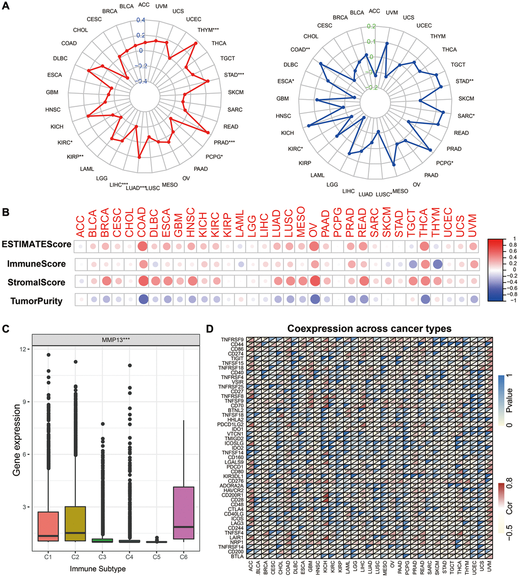 Correlation of MMP13 expression and the TMB, MSI, and tumor immune microenvironment. (A) Radar graphs display the correlation of MMP13 expression with tumor mutation burden (TMB) and microsatellite instability (MSI) in pan-cancer. The red or the blue curves represent the correlation coefficient, *p **p ***p B) Correlation of MMP13 with the ESTIMATE score, the immune score, the stromal score, and the Tumor purity. (C) The differences of MMP13 expression in six immune subtypes. C1: wound healing, C2: IFN-gamma dominant, C3: inflammatory, C4: lymphocyte depleted, C5: immunologically quiet, C6: TGF-β dominant. (D) Heatmap illustrates the correlation between MMP13 expression and different immune genes in pan-cancer. For each pair, the top left triangle represents the P-value, and the bottom right triangle represents the correlation coefficient *p **p ***p 