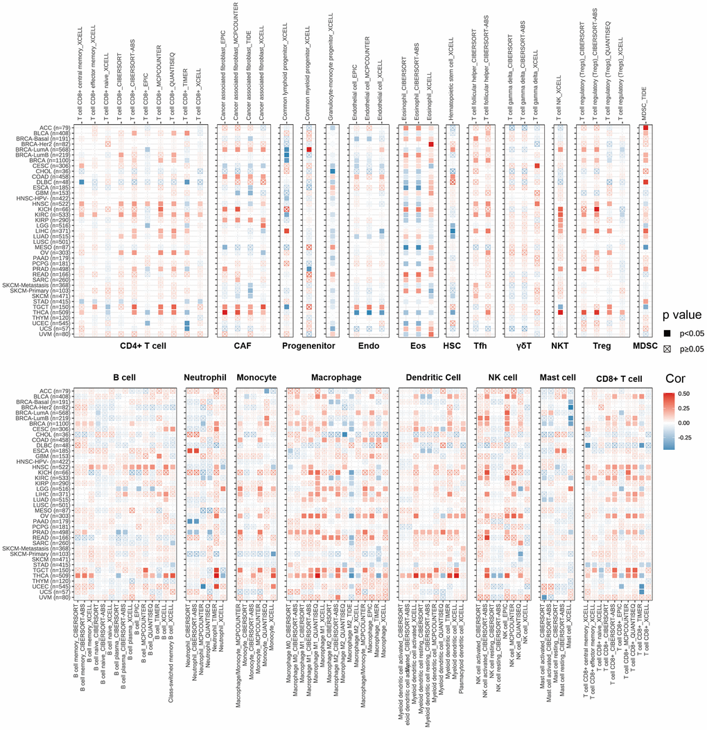 The relations between CDKN2A expression and infiltration levels of different kinds of immune cell in cancer. Red is a positive correlation and blue is a negative correlation.