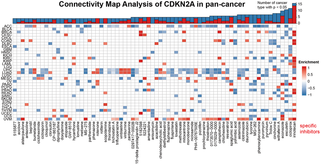 Heat map represents the enrichment score (blue positive, red negative) for each drug in the CMap database for each cancer. The components or drugs were sequentially decreased from right to left in the number of enriched cancers.