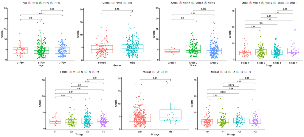 The relationship between GRB10 expression and clinicopathological features in gastric cancer.