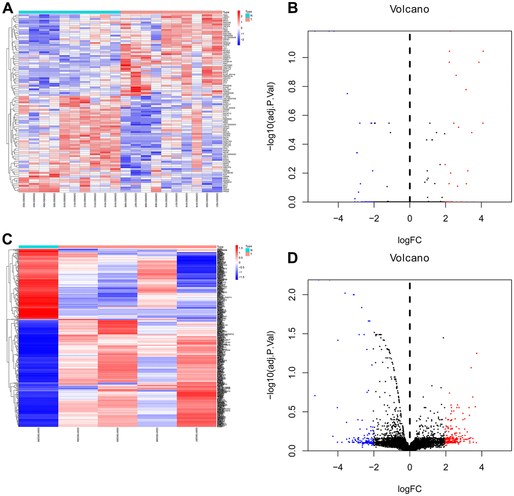 Heat map and volcano map of differentially expressed genes of GSE158662 and GSE194261. (A, B) Heat map and volcano map of DEGs in GSE158662. (C, D) Heat map and volcano map of DEGs in GSE194261.