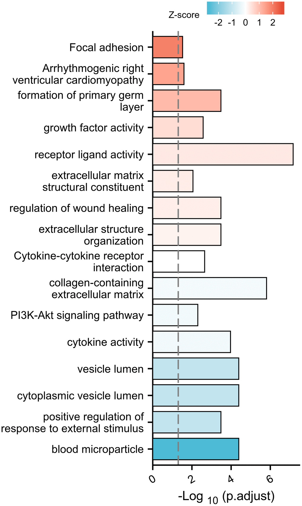 Gene ontology and KEGG enrichment.