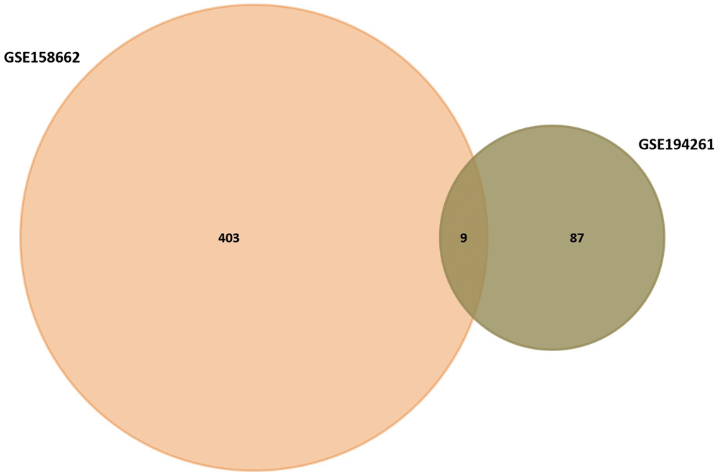 Venn diagram of GSE158662 and GSE194261.