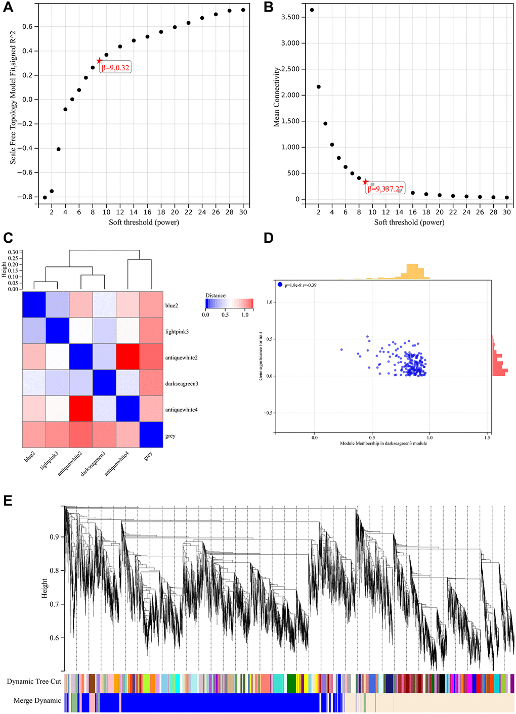 WGCNA analysis. (A) β = 9, 0.32 (B) β = 9, 337.27 (C) Hierarchical clustering tree of all genes and six significant modules were generated. (D) Darkseagreen3 module had the highest negative correlation with the status of exercise metabolic syndrome (E) There is a high degree of independence between modules.