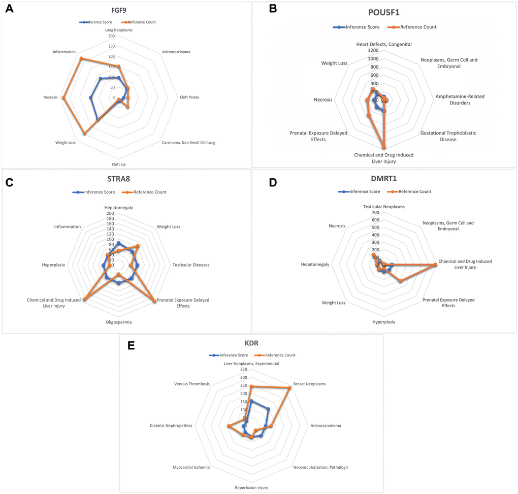 Analysis of CTD. (A) FGF9 (B) POU5F1 (C) STRA8 (D) DMRT1 (E) KDR.