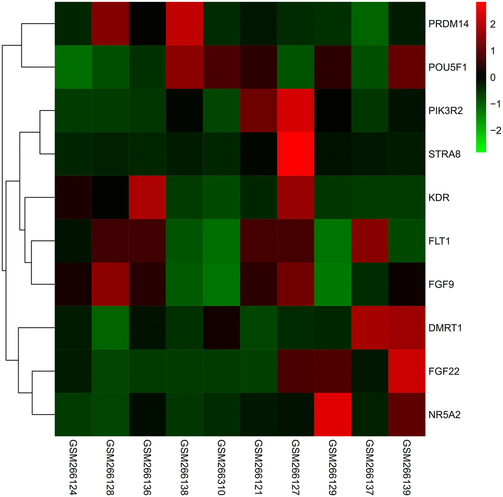 The expression of core genes in GSE10540 matrix was processed by heat map. PIK3R2, STRA8, FLT1, DMRT1, FGF22, NR5A2, FLT genes were up-regulated after exercise in metabolic syndrome, and PRDM14, POU5F1, KDR genes were down-regulated after exercise.