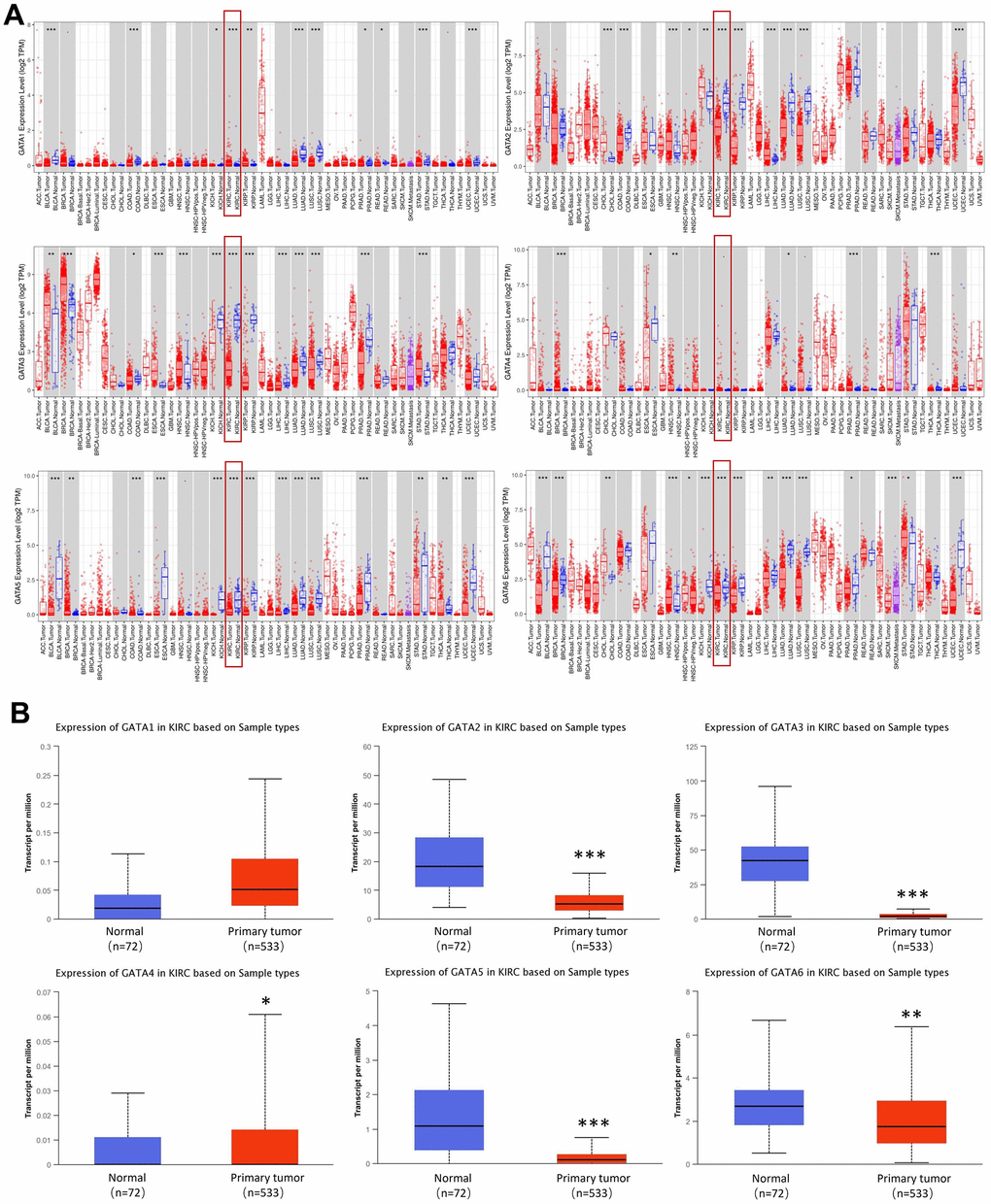 Expression levels of GATA family members in KIRC. (A) The pan-cancer expression of GATA1-6 mRNAs. (B) The expression of GATA mRNAs in KIRC. *p p p 