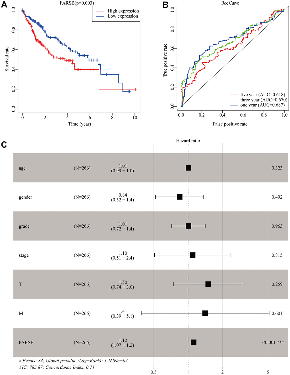 Construction of the prognostic model in TCGA cohort. (A) The Kaplan-Meier survival analysis for overall survival (OS) of patients in TCGA cohort. (B) The time-dependent ROC analysis for risk score in the TCGA cohort. (C) Forest plot of the univariate and multivariate Cox regression analysis in HCC regarding OS.