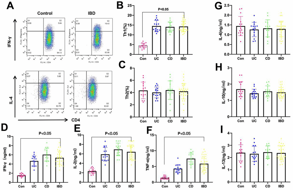 Proportions of Th1 and Th2 cells and expression of cytokines in tissues of IBD patients. (A–C) Proportions of Th1 and Th2 were detected by FCM. As a result, the proportions of Th1 cells in CD and UC groups were significantly higher than that in Control group, and that was significantly different between IBD (UC+CD) and Control groups, while Th2 cell proportion did not exhibit any significant difference. The proportion of Th1 cells in IBD increased. (D–F) The levels of Th1 cell marker factors IFN-γ, IL-2 and TNF-α. The levels of IFN-γ, IL-2 and TNF-α in IBD (UC+CD) were evidently higher than those in Control group, and those in CD patients were higher than those in UC patients, with significant difference. (G–I) The levels of Th2 cell marker factors IL-4, IL-10 and IL-13. The levels of IL-4, IL-10 and IL-13 in IBD (UC+CD) group were not significantly different compared with those in Control group.