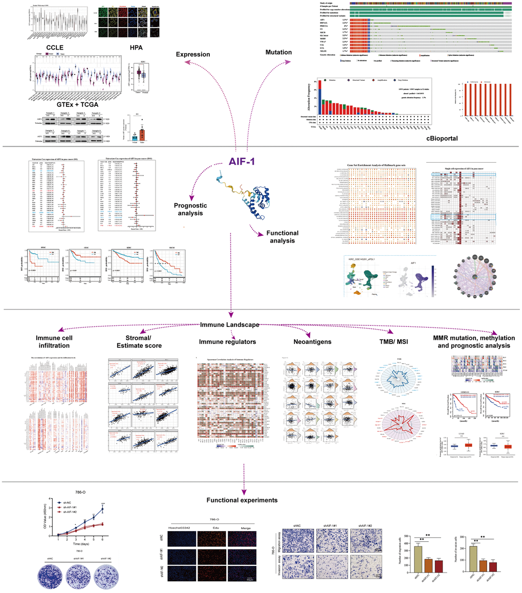 Flow chart of the entire study.