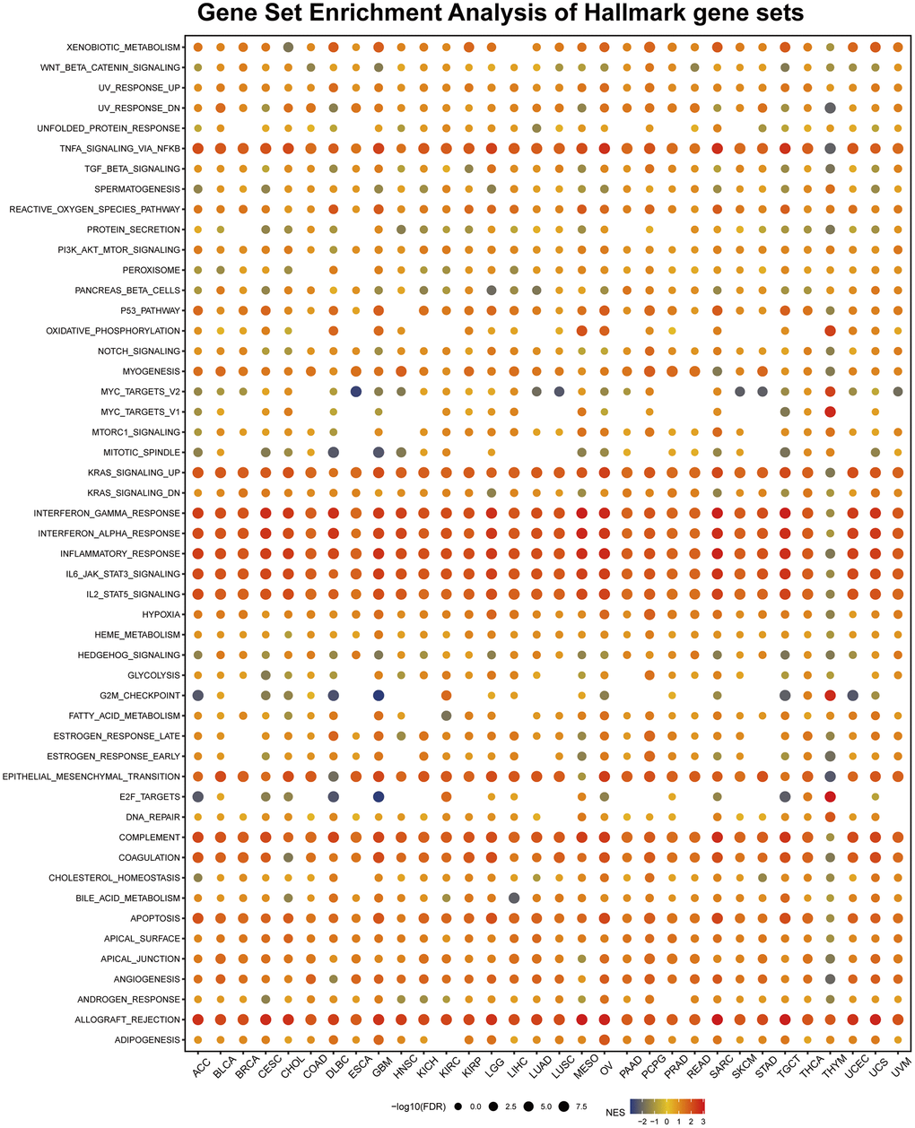 Gene set enrichment analysis (GSEA) of AIF-1 in pan-cancer. The circle size represents the FDR value of the enriched term in each cancer, and the color indicates each term’s normalized enrichment score (NES).