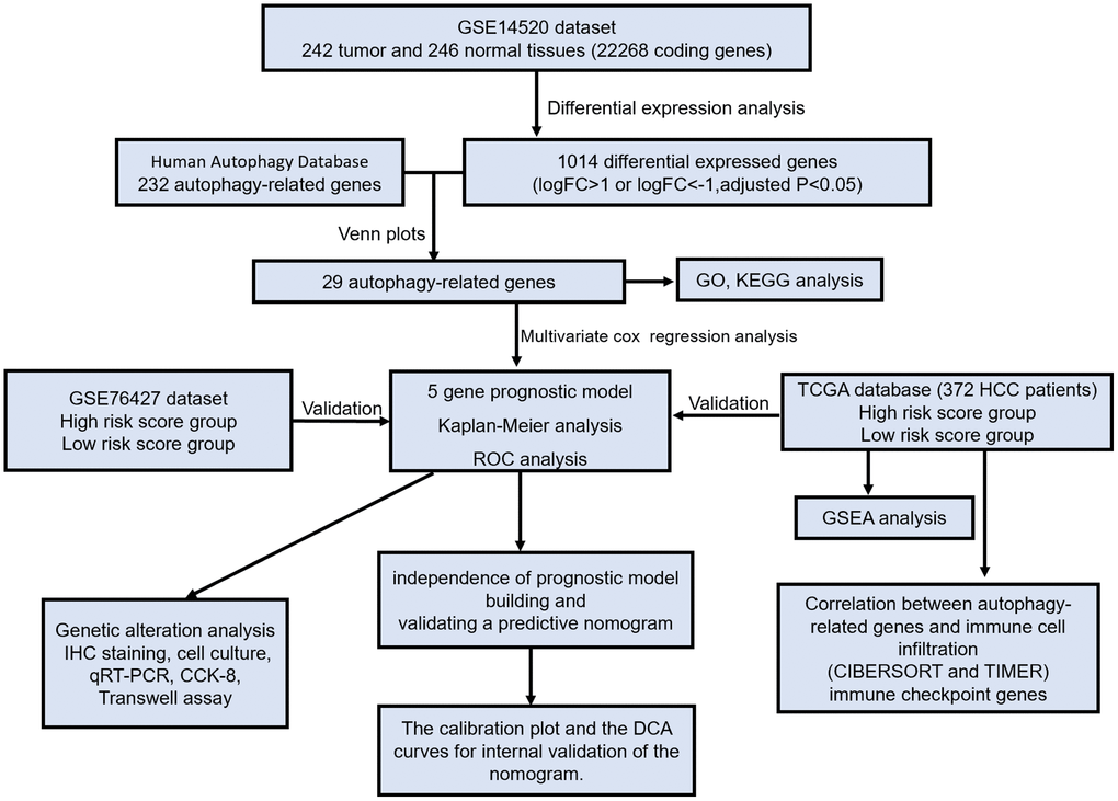 Kaplan-Meier estimates of melanoma-related mortality among 114 children