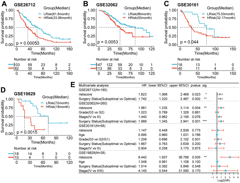 Survival analysis and prognostic values of the 5-gene signature model in the GEO validation cohorts. (A–D) Kaplan-Meier curves for the OS of patients between the HRisk and LRisk group in the GSE26712(A, pp=0.005), GSE30161(C, p=0.044), GSE19829(D, p=001)(Log-rank test). (E) Results of the univariate and multivariate Cox regression analyses regarding OS in the GEO cohort.