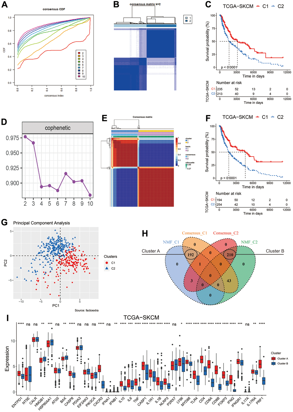 Clustering of melanoma patients based on ICD related genes. (A) The cumulative distribution function (CDF) curve of consensus clustering for k = 2 to 10. (B) Heatmap depicts consensus clustering solution (k = 2) for 34 ICD related genes in melanoma patients from the TCGA-SKCM dataset. (C) Kaplan–Meier curves of OS in the C1 and C2 subtypes (the consensus clustering method) of melanoma patients. (D) The optimal rank was selected as 2 since the cophenetic coefficient firstly started decreasing at this point. (E) Heatmap of NMF clustering results of melanoma patients from the TCGA-SKCM dataset. (F) Kaplan–Meier curves of OS in the C1 and C2 subtypes (the NMF method) of melanoma patients. (G) Principal component analysis (PCA) on the expression level of 34 ICD related genes in clusters classified by NMF method. (H) Venn diagram to identify melanoma patients in the C1 cluster (Cluster A) and C2 cluster (Cluster B) defined by both clustering methods. (I) Gene expression comparison of 34 ICD related genes between Cluster A and B in the TCGA-SKCM cohort. Ns, not significant; *p 