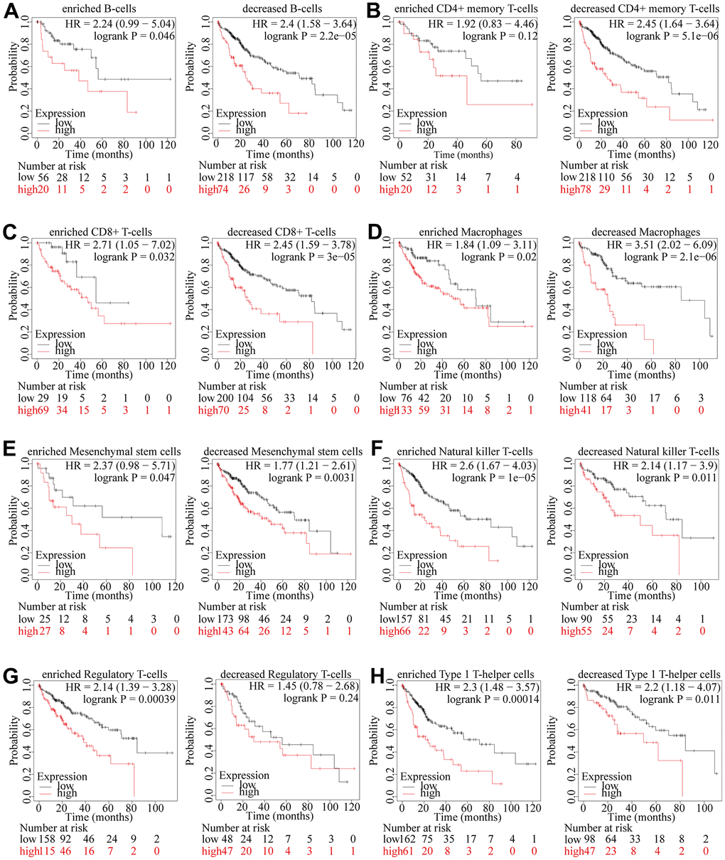 The prognostic influence of TSEN54 expression in HCC is linked to the infiltration level of immune cells. (A) B cells; (B) CD4+ memory T-cells; (C) CD8+ T-cells; (D) Macrophages; (E) Mesenchymal stem cells; (F) Natural killer T-cells; (G) Regulatory T-cells; (H) Type 1 T-helper cells. *p p p 