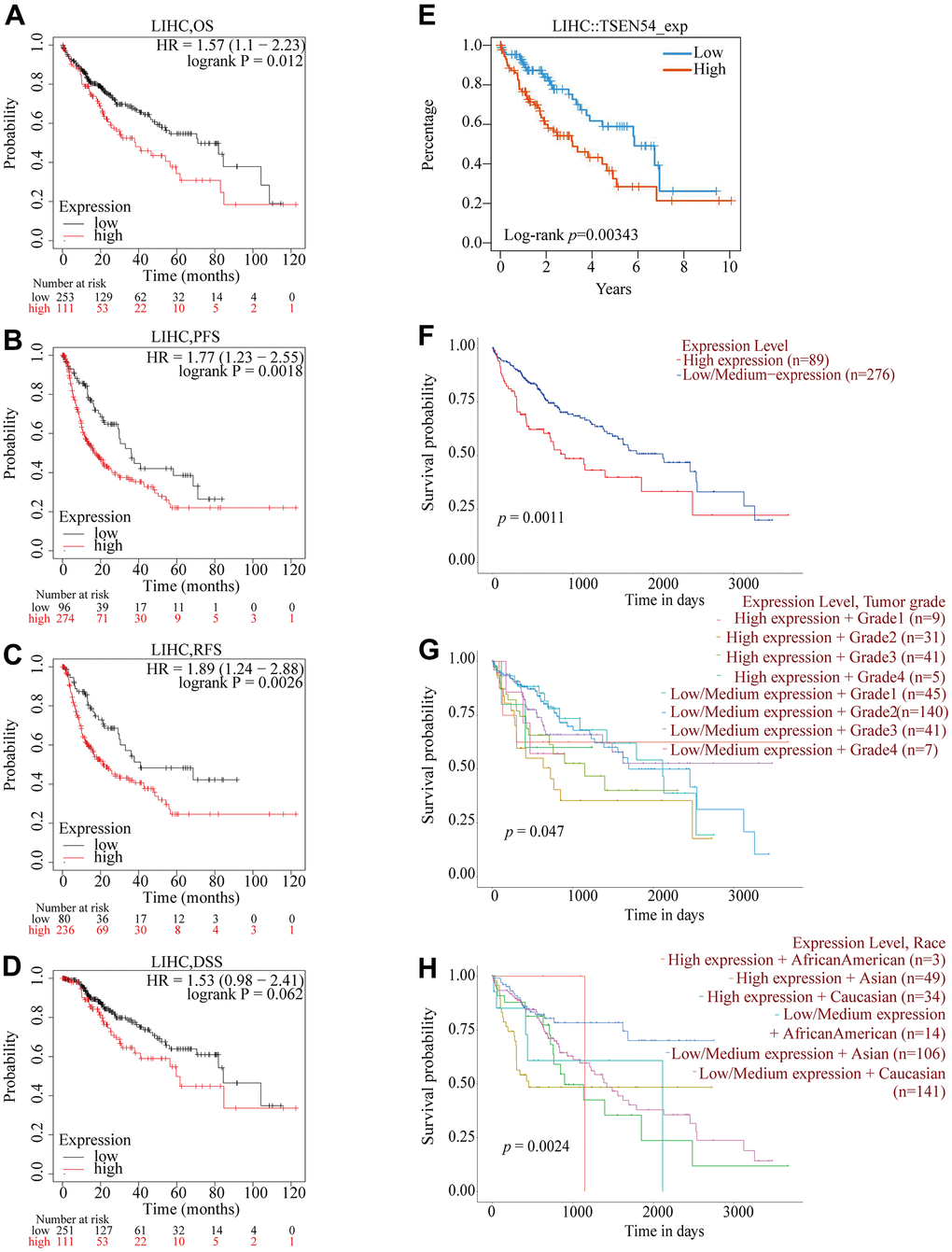 Relationship between TSEN54 expression and prognosis of HCC patients. The relation between TSEN54 expression and (A) OS; (B) PFS; (C) RFS; (D) DSS based on the Kaplan-Meier plotter database. (E) The correlation between TSEN54 expression and the survival of HCC patients based on the TISIDB website. Survival of HCC patients with (F) differential TSEN54 expression; (G) differential TSEN54 expression and grade; (H) differential TSEN54 expression and race.