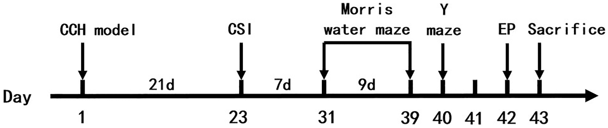 class="figure-viewer-img"