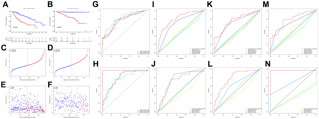 Survival analysis of the senescence score model. KM survival analysis for the senescence score model in TCGA-LIHC (A) and HCCDB18 (B) dataset. Survival status plots of HCC patients in TCGA-LIHC (C) and HCCDB18 (D) datasets. Senescence score distribution plots of HCC patients in TCGA-LIHC (E) and HCCDB18 (F) datasets. Time-dependent ROC analysis at 1-,3-, and 5-year follow-up in TCGA-LIHC (G) and HCCDB18 (H) datasets. Clinical characteristics and senescence score model ROC analysis at 1-year follow-up in TCGA-LIHC (I) and HCCDB18 (J) datasets. Clinical characteristics and senescence score model ROC analysis at 3-year follow-up in TCGA-LIHC (K) and HCCDB18 (L) datasets. Clinical characteristics and senescence score model ROC analysis at 5-year follow-up in TCGA-LIHC (M) and HCCDB18 (N) datasets.