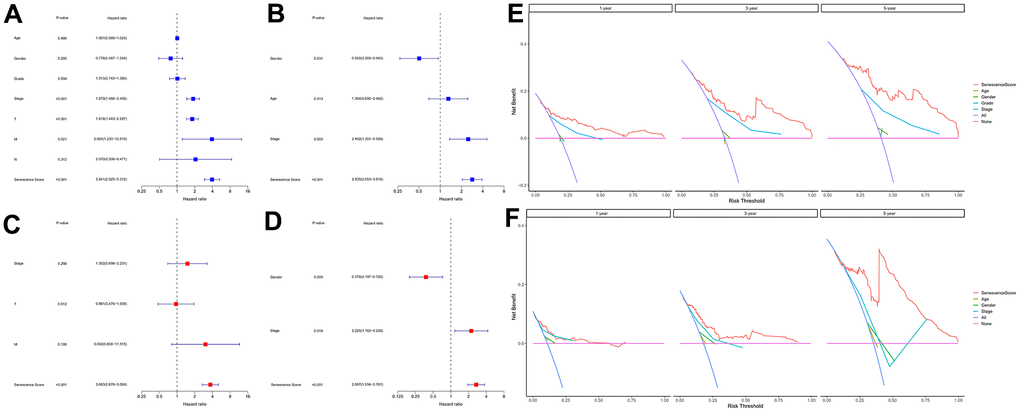 Evaluation of the senescence score model's prognostic accuracy. Univariate independent Cox analyses in TCGA-LIHC (A) and HCCDB18 (B) datasets. Multivariate independent Cox analyses in TCGA-LIHC (C) and HCCDB18 (D) datasets. The decision curve analyses of the senescence score model in TCGA-LIHC (E) and HCCDB18 (F) datasets.