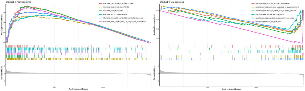 GSEA analyses between different cellular senescence-related genes signature risk groups.
