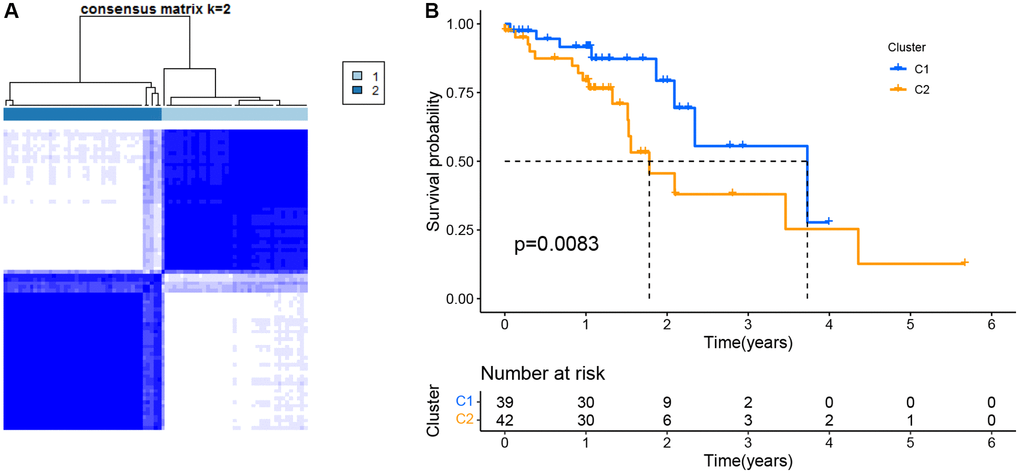 Tumor classification as per the pyroptosis-related DEGs. (A) ESCC patients were grouped into two clusters based on the consensus clustering matrix (k = 2). (B) Kaplan–Meier OS curves for the two clusters.