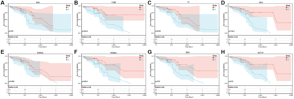 The prognostic value of eight pyroptosis-related genes in ESCC. In TCGA, the overall survival curve of B2M (A), C1QB (B), C2 (C), CD14 (D), FCER1G (E), FCGR3A (F), RTP4 (G), and SLC7A7 (H) in ESCC patients in the high-/low-expression group. PRG pyroptosis-related gene. Adjusted P-value 
