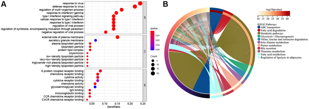 The functional enrichment analysis of pyroptosis-related genes in ESCC. (A) The enriched item in gene ontology analysis. The size of the circles represented the number of genes enriched. Abbreviations: BP: biological process; CC: cellular component; MF: molecular function; PRG: pyroptosis-related gene. The bigger bubble means more genes enriched, and the increasing depth of red denotes the differences were more obvious. q-value, the adjusted P-value. (B) The enriched item in Kyoto Encyclopedia of Genes and Genomes analysis.