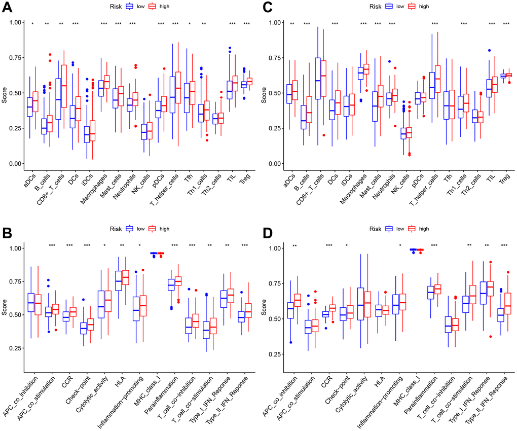 The immune landscape of two pyroptosis-related molecular subtypes. (A, B) Comparison of the enrichment scores of 16 types of immune cells and 13 immune-related functions between low- (blue box) and high-risk (red box) groups in the TCGA cohort, (C, D) Comparison of the enrichment scores of 16 types of immune cells and 13 immune-related functions between low- (blue box) and high-risk (red box) groups in the GEO cohort. Adjusted P-values were shown as ns (not significant); *P **P ***P 