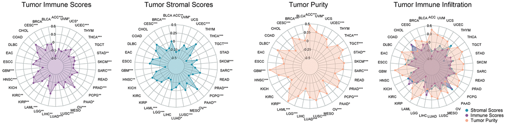 The correlation coefficients between DLL3 expression and the tumor microenvironment. Correlation between DLL3 and the immune, stromal, and tumor purity scores in 34 types of cancer.