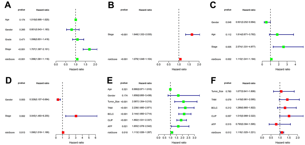 Independent prognostic value of transcriptional addiction gene signature. (A, B) Univariate and multivariate regression analyses for hazard ratio values of risk score and clinical characteristics in TCGA-LIHC set. (C, D) Univariate and multivariate regression analyses for hazard ratio values of risk score and clinical characters in ICGC-JP set. (E, F) Univariate and multivariate regression analyses for hazard ratio values of risk score and clinical characters in GEO-GSE14520 set.