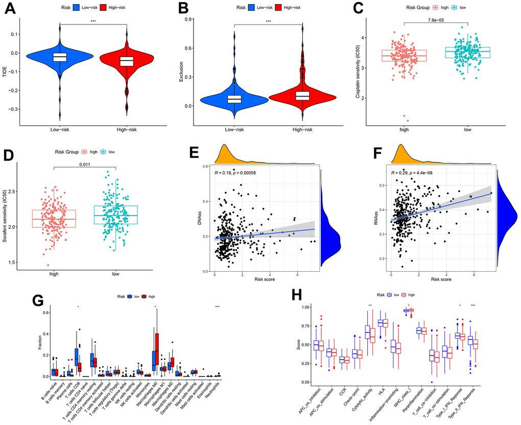 Correlation of transcriptional addiction gene signature with therapeutic drug sensitivity and immune status in TCGA-LIHC set. (A) TIDE scores in different risk groups. (B) Exclusion scores in different risk groups. (C) Cisplatin sensitivity in different risk groups. (D) Sorafenib sensitivity in different risk groups. (E) Correlation between DNA stemness score and risk score. (F) Correlation between RNA stemness score and risk score. (G) Immune cell contents in different risk groups. (H) Immune function scores in different risk groups. *p p p 