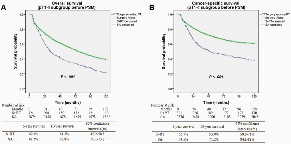 (A) Overall survival between surgery alone and surgery + postop RT groups before matching (P B) Cancer-specific survival between surgery alone and surgery + postop RT groups before matching (P 