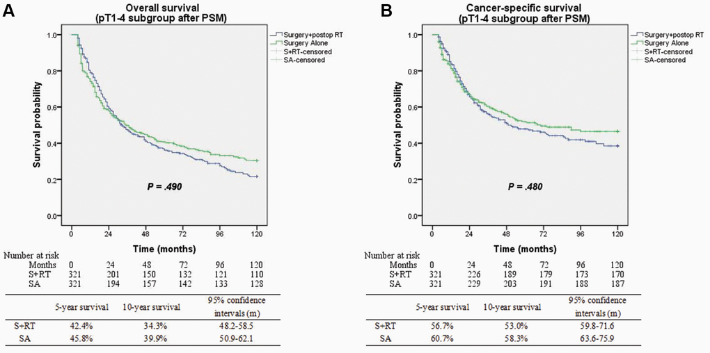 (A) Overall survival between surgery alone and surgery + postop RT groups after matching (p = 0.49). (B) Cancer-specific survival between surgery alone and surgery + postop RT groups after matching (p = 0.48).