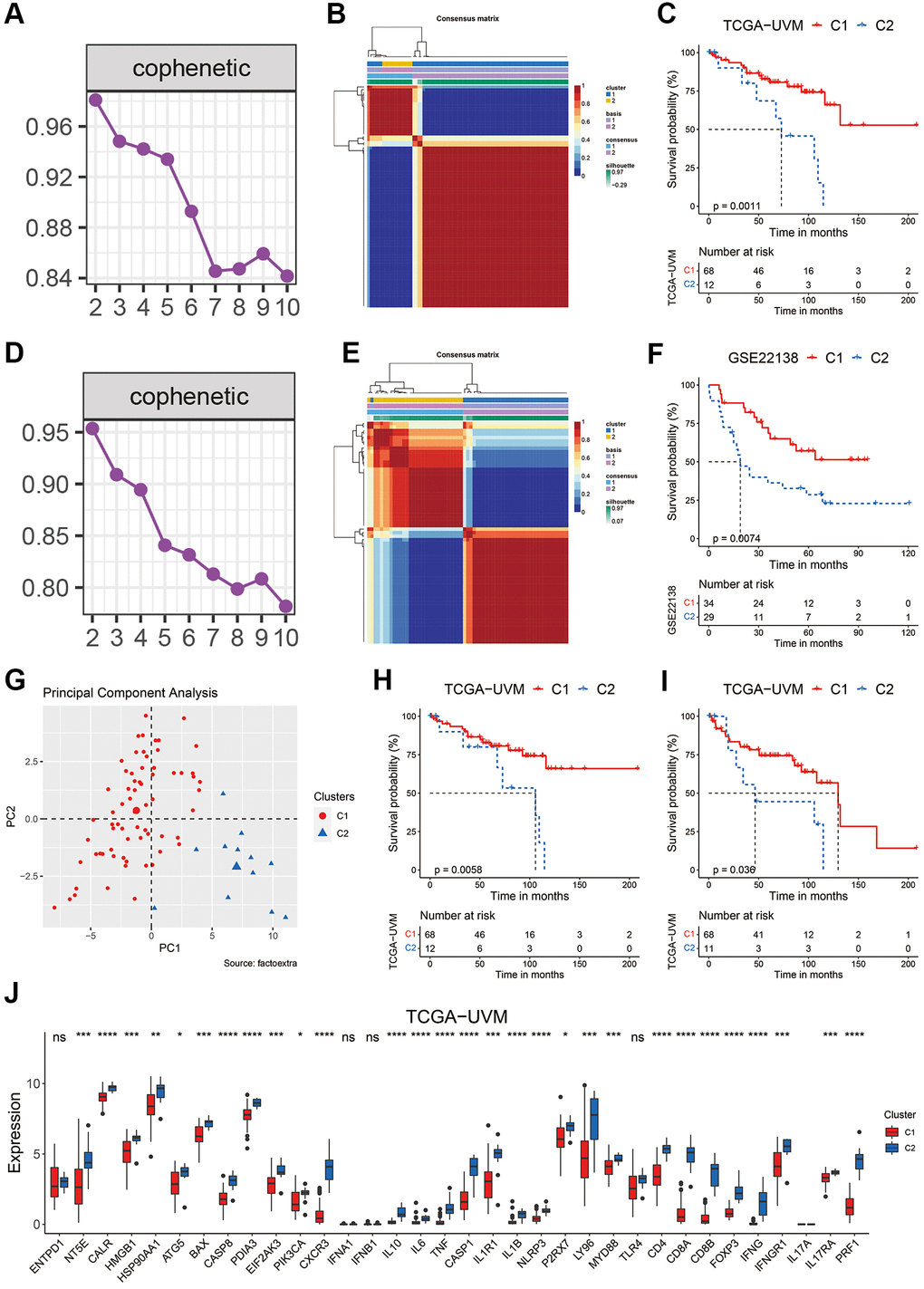 Clustering of uveal melanoma patients based on ICD-related genes. (A, B) The cophenetic coefficient map (A) and heatmap (B) of NMF clustering results of UVM patients from the TCGA-UVM cohort. (C) Kaplan-Meier curves of OS in the C1 and C2 clusters of UVM patients from the TCGA-UVM cohort. (D, E) The cophenetic coefficient map (D) and heatmap (E) of NMF clustering results of UVM patients from the GSE22138 cohort. (F) Kaplan-Meier curves of OS in the C1 and C2 clusters of UVM patients from the GSE22138 cohort. (G) PCA analysis of the C1 and C2 cluster of UVM patients from the TCGA-UVM cohort. (H, I) Kaplan-Meier curves of DSS (H) and PFI (I) in the C1 and C2 clusters of UVM patients from the TCGA-UVM cohort. (J) The expression levels of the ICD-related genes in C1 and C2 clusters of UVM patients from the TCGA-UVM cohort. Abbreviation: Ns: not significant. *p **p ***p ****p 