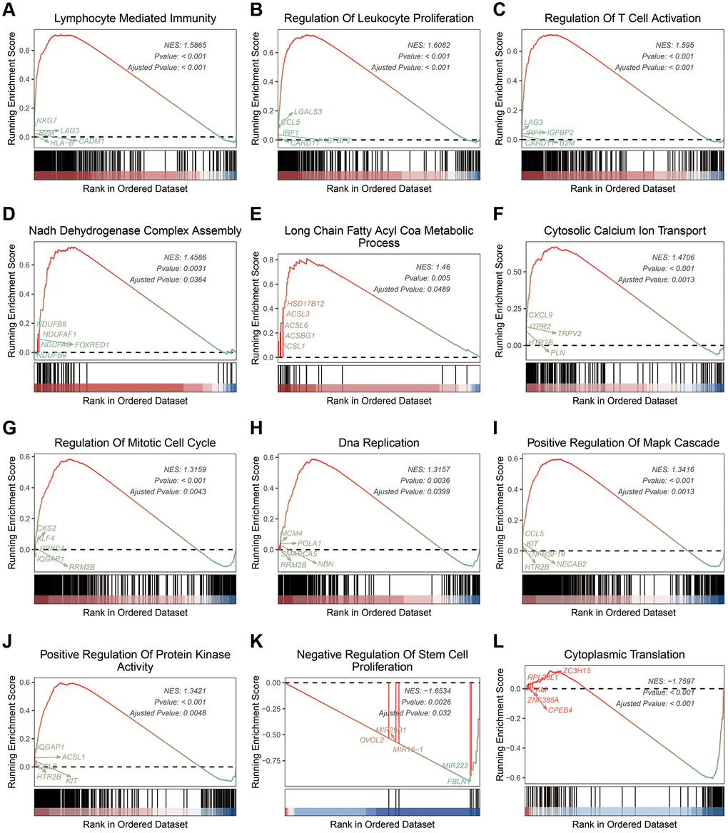 Biological features of UVM patients in the stratified ICDscore subgroups. (A–L) Examples of GSEA results of UVM patients with high-ICDscore (A–J) or low-ICDscore (K, L).