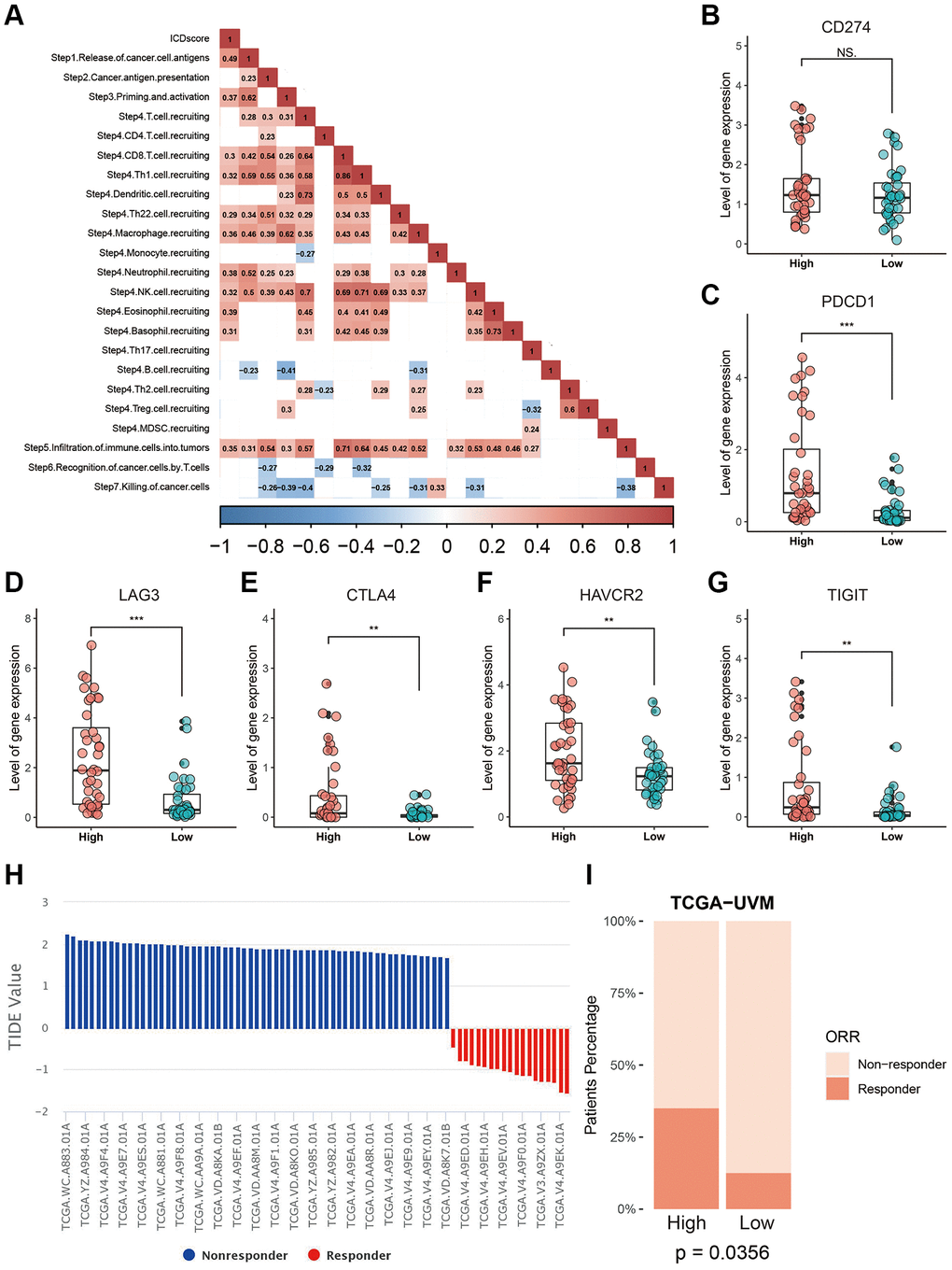 Correlation between the ICDscore and anti-tumor immunotherapy. (A) Correlation analysis between the ICDscore and the status of anti-cancer immunity. (B–G) The expression levels of CD274, PDCD1, LAG3, CTLA4, HAVCR2, and TIGIT in UVM patients in the high-ICDscore and the low-ICDscore subgroups of the TCGA-UVM cohort. (H) TIDE score and immunotherapy response rate of UVM patients from TCGA-UVM cohort. (I) Immunotherapy response rate of UVM patients from TCGA-UVM cohort with high-ICDscore and low-ICDscore. Abbreviation: Ns: not significant. *p **p ***p 