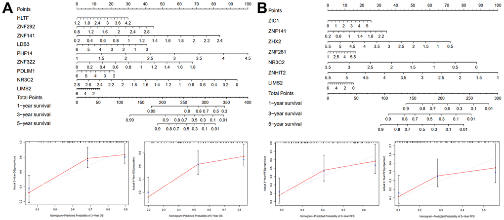 Nomogram and calibration plots for predicting one-, three-, and five-year OS (A) or PFS (B) of TCGA training cohort.