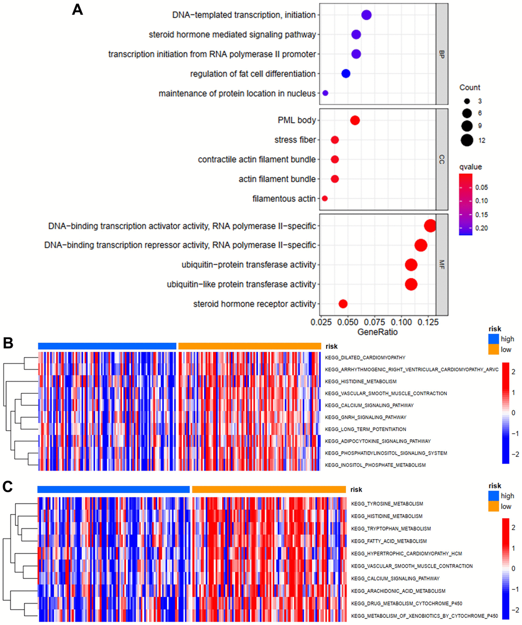 GO enrichment and GSVA analysis. (A) GO enrichment analysis of differentially expressed ZNFs. GSVA analysis for OS (B) and PFS (C) in low- and high-risk subgroups of TCGA training cohort.