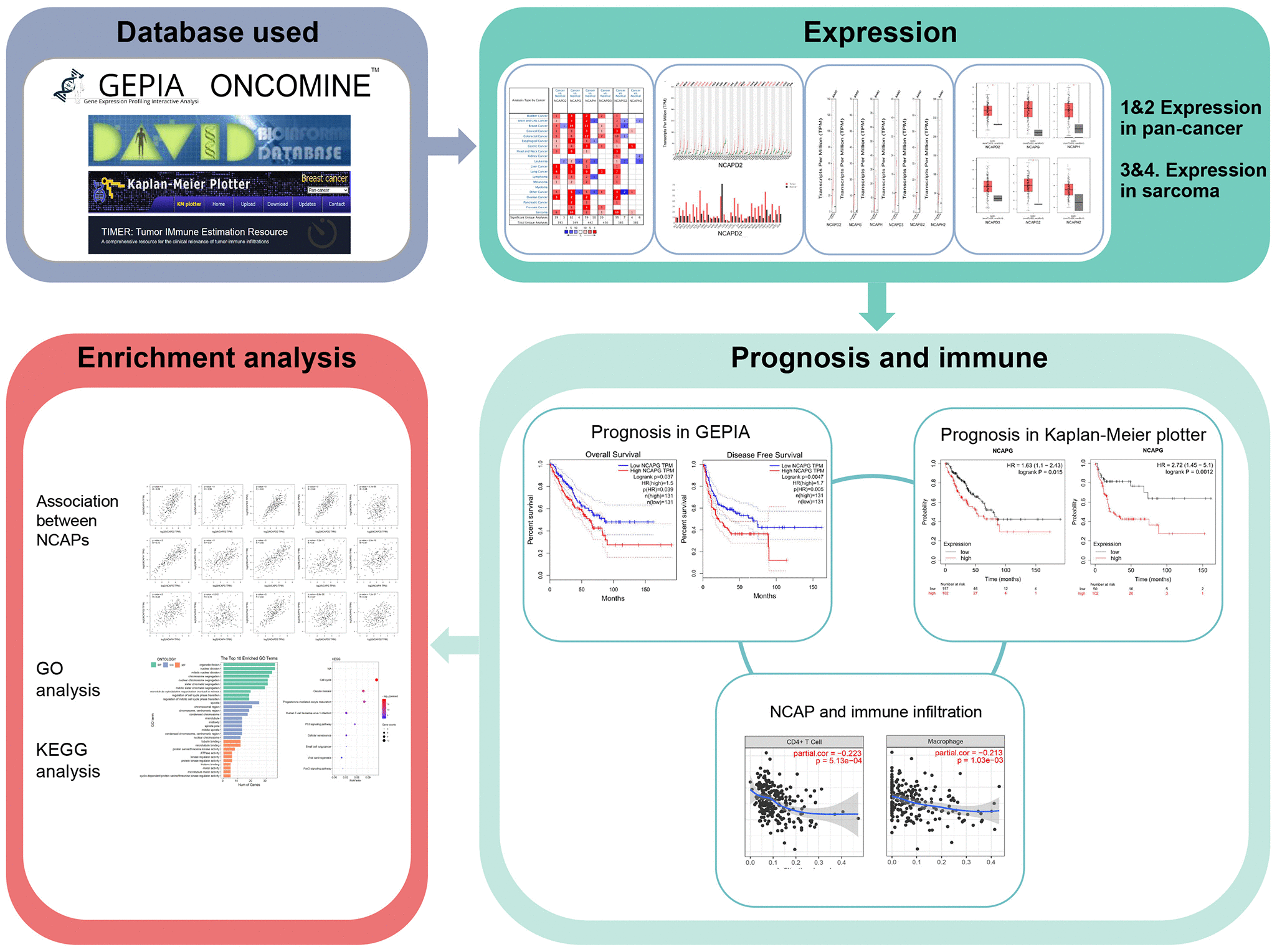 class="figure-viewer-img"