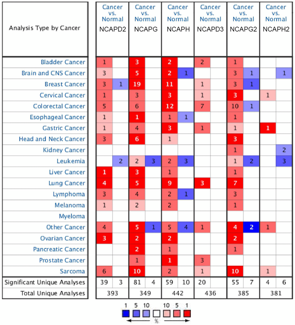 The expression levels of NCAP genes in different types of human cancers and normal samples. The red cells represent evidence of gene overexpression. The blue cells represent evidence of reduced gene expression. The numbers in each cell represent the evidential frequencies. The deeper the color, the higher the significance.
