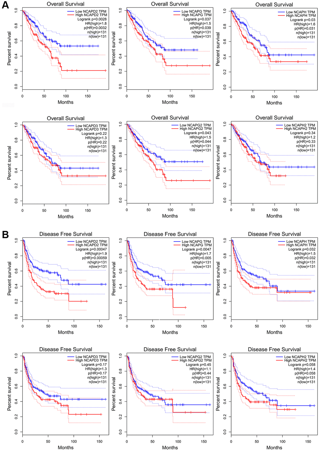 The prognostic value of mRNA level of NCAP factors in sarcoma patients. Higher expression of NCAP genes is associated with worse (A) overall survival and (B) disease-free survival. Abbreviation: HR: hazard ratio.