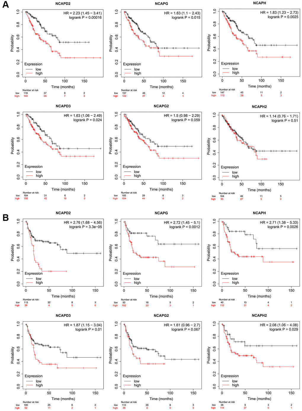 The prognostic value of mRNA level of NCAP factors in sarcoma patients. The prognostic value of mRNA level of NCAP factors in sarcoma patients was analyzed by Kaplan Meier Plotter. Expression of NCAP family genes was related to poor (A) overall survival and (B) relapse-free survival in sarcoma.