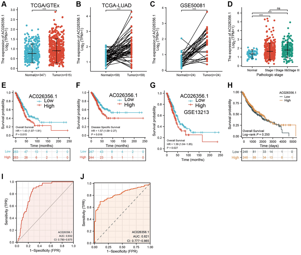 AC026356.1 was upregulated in LUAD. (A–C) AC026356.1 level in lung cancer by TCGA and GEO database. (D) Correlation between AC026356.1 expression and pathological stage in LUAD by TCGA database. (E–G) Prognosis of AC026356.1 in lung cancer examined by TCGA and GEO dataset. (H) Prognosis of AC026356.1 in LUSC examined by TCGA dataset. (I, J) Diagnostic value of AC026356.1 in NSCLC. NS > 0.05 and ***p 