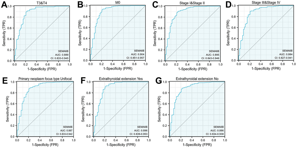 Diagnostic value analysis of SEMA6B expression in THCA. ROC curve indicated the sensitivity and specificity of SEMA6B expression in THCA subgroup differentiation including TNM staging (A, B), pathologic staging (C, D), primary neoplasm focus (E), extrathyroidal extension (F, G) (n=455).