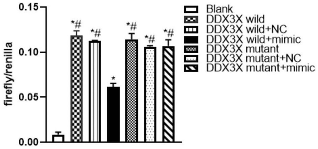 Luciferase assay of miR-155 directly targeted DDX3X. (*pp