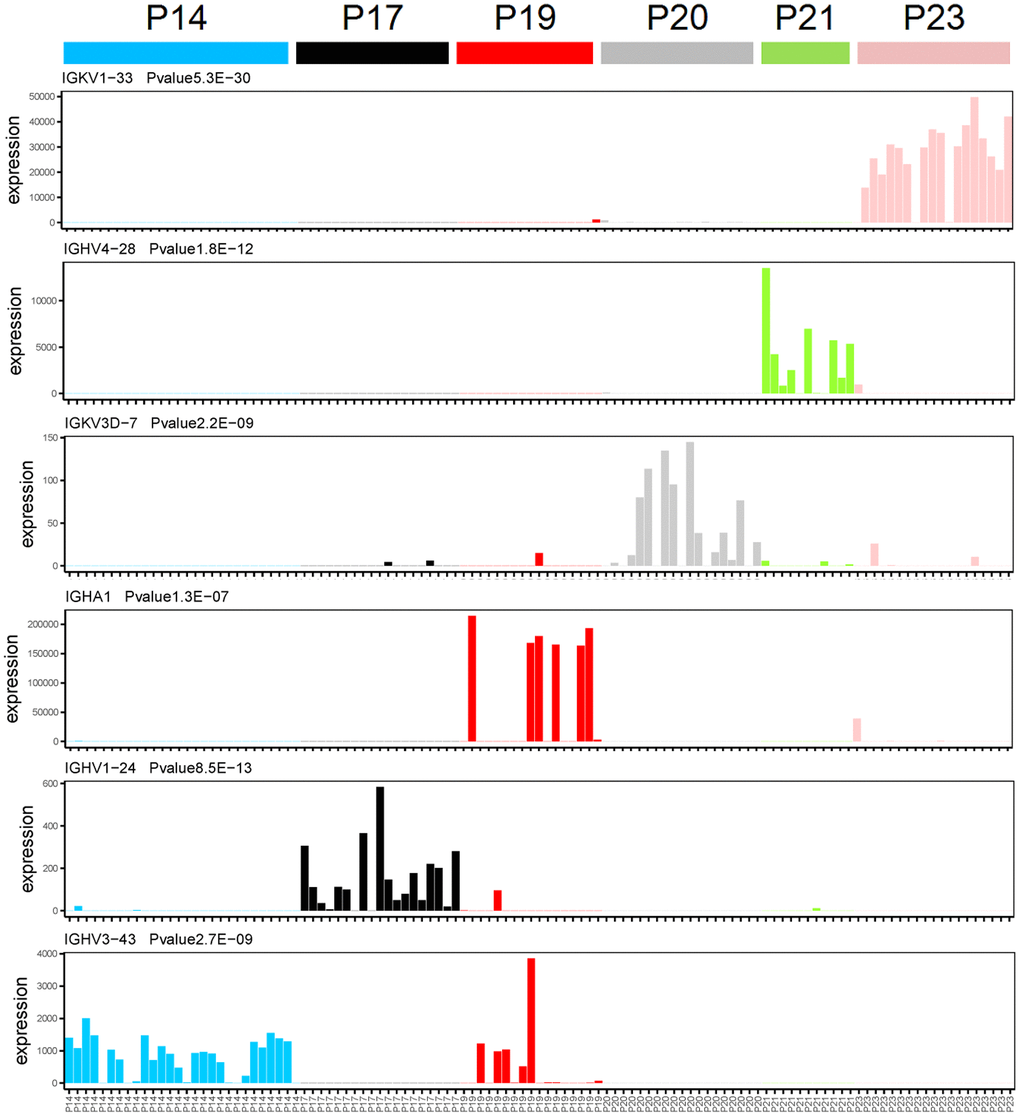 Immunoglobulin genes specifically expressed in each patient at the single cell transcriptome level. The X-axis and Y-axis represent the single cell and expression level (FPKM), respectively. One-way analysis of variance, the gene name and P-value were showed in top left corner of each figure.