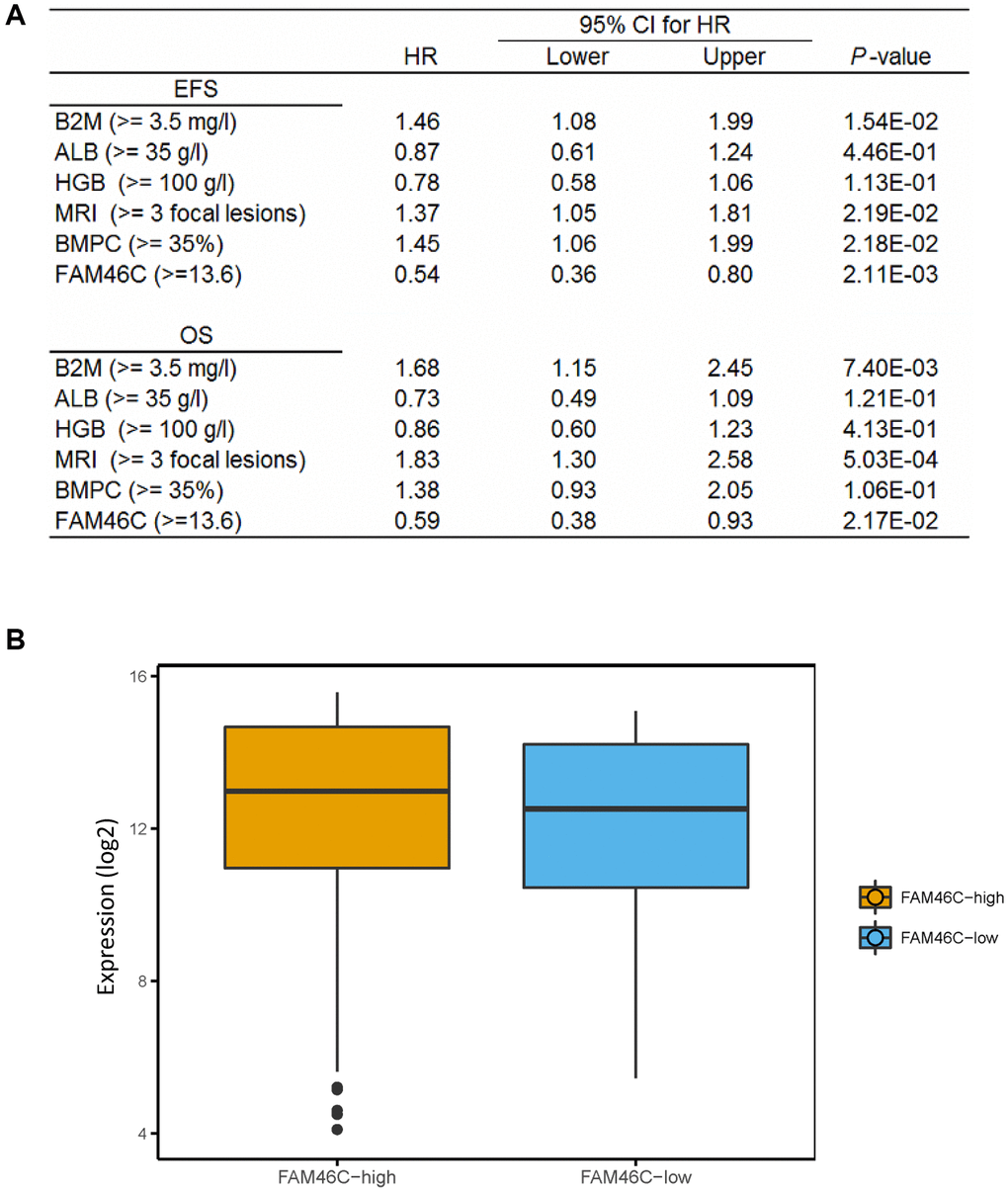 The expression of FAM46C is an independent prognostic factor in multiple myeloma. (A) Cox regression analysis identified FAM46C expression (cut off FAM46C ≥ 13.6) as an independent prognostic factor in 559 multiple myeloma patients. OS, overall survival; EPS, progress free survival. Abbreviations: β2-MG: β2 microglobulin; ALB: serum albumin; HR: hazard ratio; CI: confidence interval. (B) Lower transcriptome expression level in FAM46C-low group compared with FAM46C-high group in 559 multiple myeloma patients. P = 0.0043, unpaired t test, two sided (cut off FAM46C ≥ 13.6).