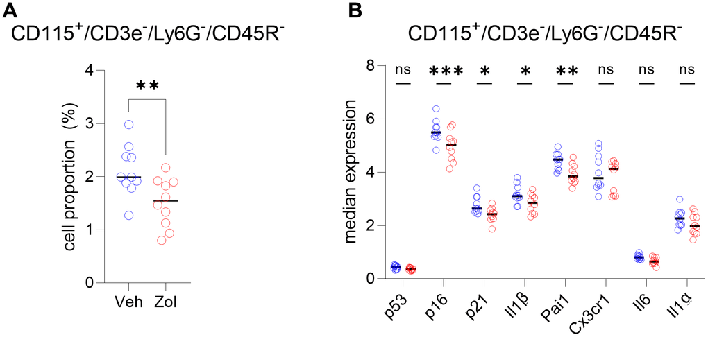 CD115+ cells are targeted by zoledronic acid. (A) Percent CD115+ cells are significantly reduced after zoledronic acid treatment (unpaired t-test, pB) The median expression in the vehicle vs. zoledronic acid samples shows a significant downregulation of p16 (p=0.0001), p21 (pp